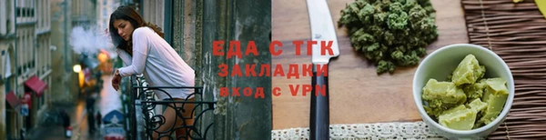 индика Новокубанск