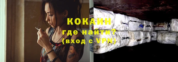 индика Новокубанск