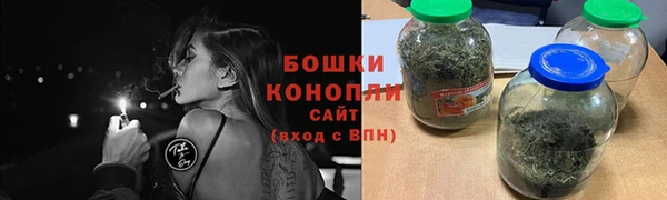индика Новокубанск