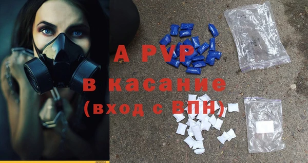 a pvp Новозыбков