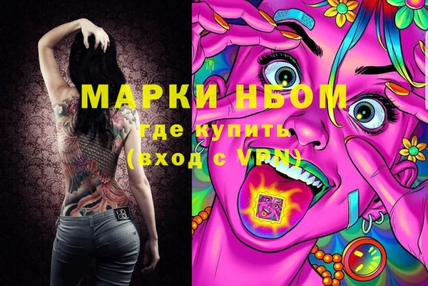 индика Новокубанск