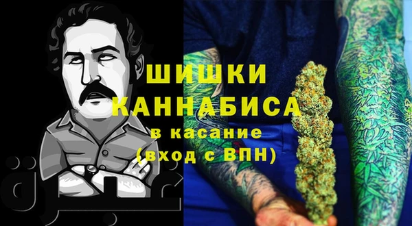 индика Новокубанск