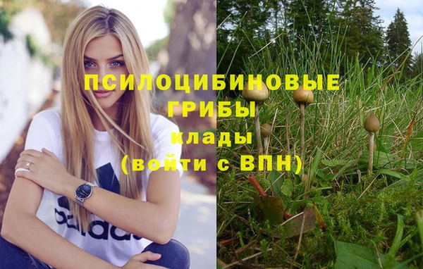 индика Новокубанск