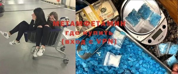 индика Новокубанск
