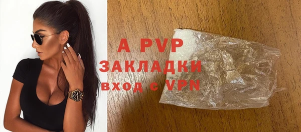 индика Новокубанск