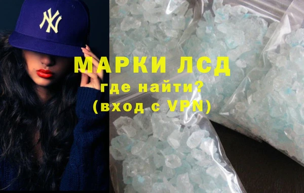 a pvp Новозыбков