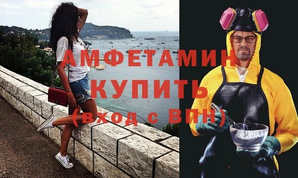 индика Новокубанск